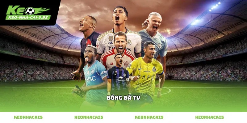 Theo dõi bóng đá tv cập nhật tin tức tại Kèo Nhà Cái 5